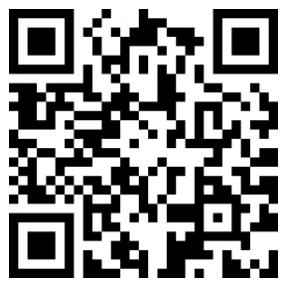 大城市生活安卓版下载安装