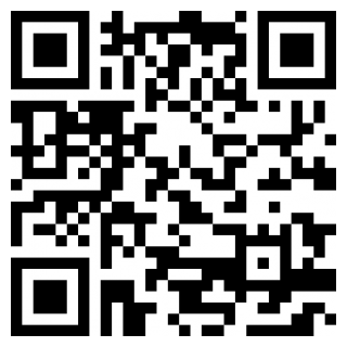 摇曳露营国际服安卓版app