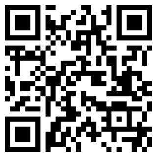代练丸子app2024安卓版
