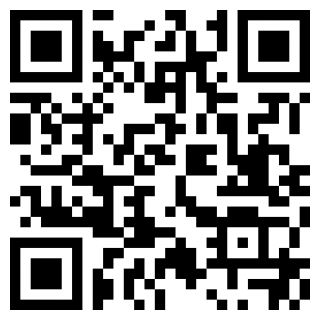 彩云小译2024下载安卓