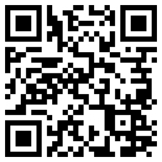 车队掌卫安卓版下载安装