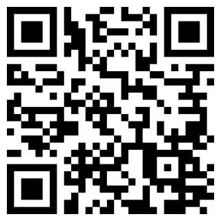 平安保山安卓2026下载