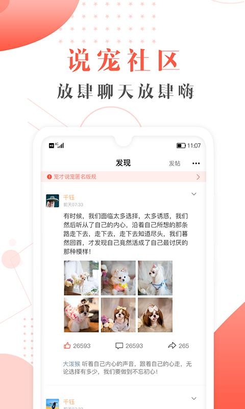宠才宝最新版安卓下载