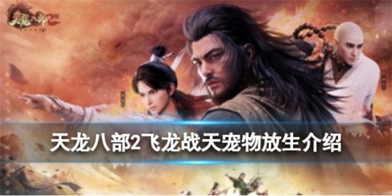 天龙八部2飞龙战天宠物怎么放生