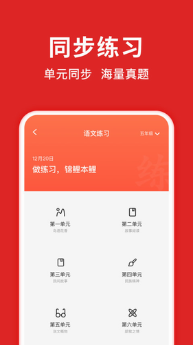 题拍拍2022