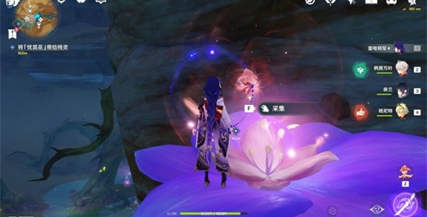 原神忧昙花怎么采