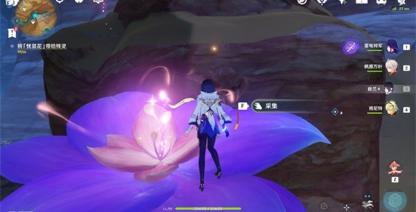 原神忧昙花怎么采