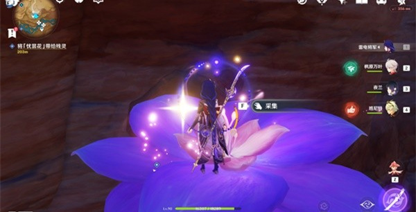原神忧昙花怎么采