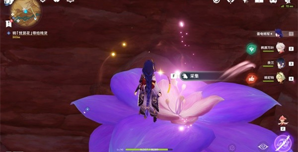 原神忧昙花怎么采