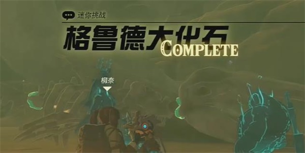 王国之泪格鲁德大化石迷你挑战攻略