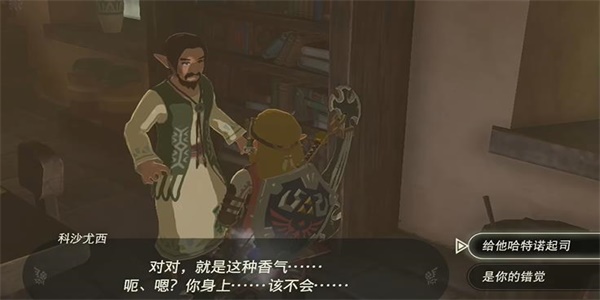 王国之泪用新名产振兴村子情节挑战攻略