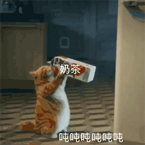 165985993962ef73e346aef0.01130489.gif