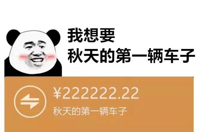 165985995062ef73ee205732.43442895.jpeg