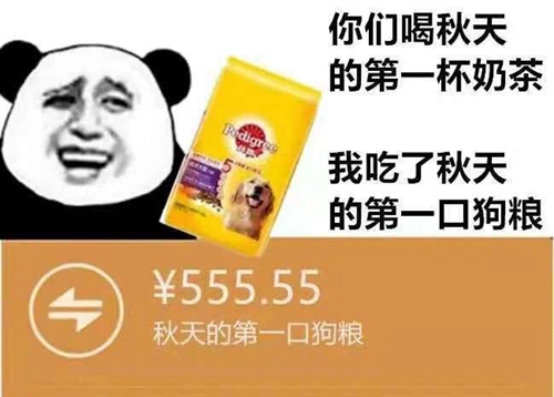 165985994962ef73edae55b0.01388560.jpeg