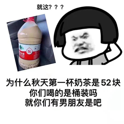 165985995462ef73f23721f2.42569181.jpeg