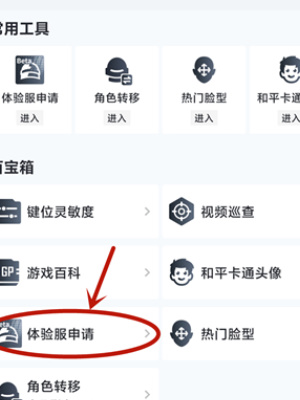 和平精英体验服怎么申请