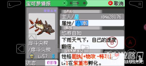 《口袋妖怪究极绿宝石5.5》刺梭鱼位置