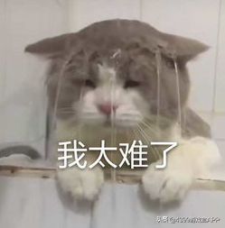 等了三年终于来了！《三国志》手游上线，匡扶汉室还是称霸天下