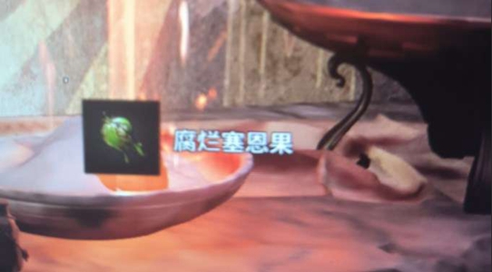 遗迹2腐烂的塞恩果怎么才能获取