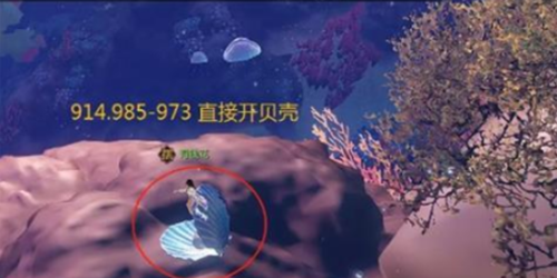 逆水寒手游南海探秘攻略