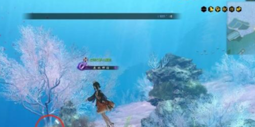 逆水寒手游南海探秘攻略