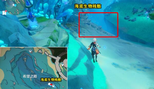 原神光影研学旖旎水界第五天攻略 光影研学旖旎水界第五天通关流程[多图]图片4
