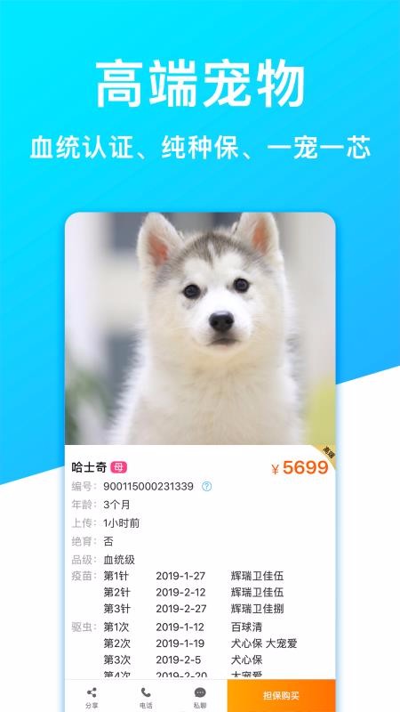 宠物市场下载安装最新版