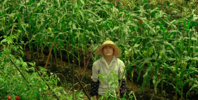 这个游戏好玩吗：星露谷物语火爆的背后，是百味的种田人生