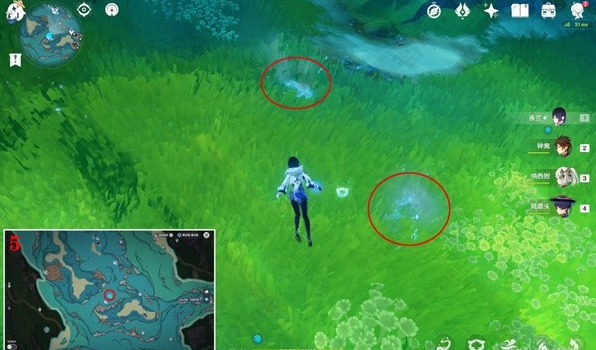 原神鳗鱼宝箱位置大全 10个鳗鱼宝箱全收集攻略[多图]图片6