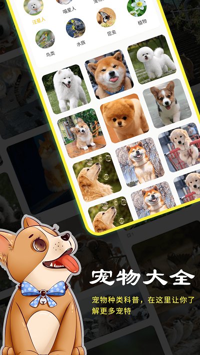 宠本本