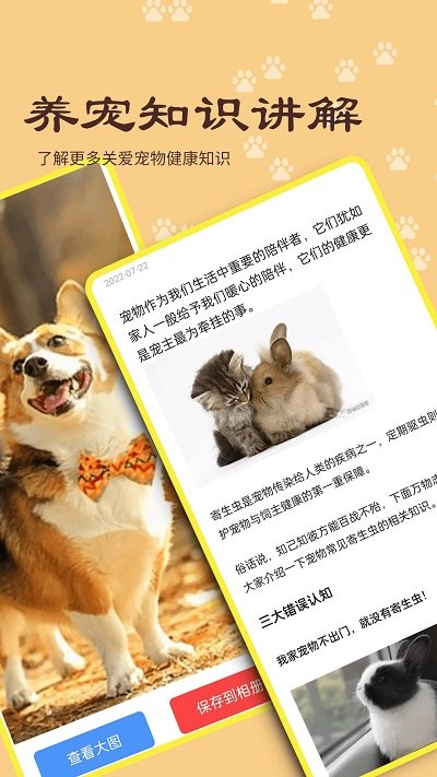 宠本本