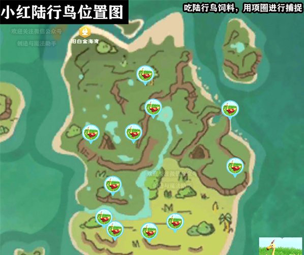 创造与魔法小红陆行鸟在哪里 