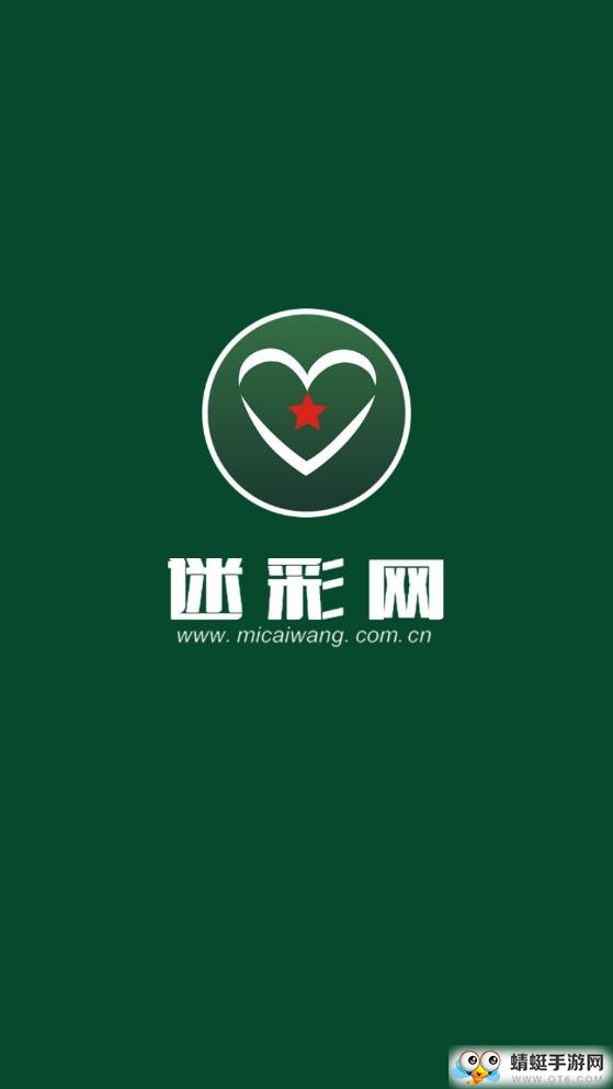 迷彩网