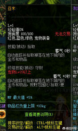 dnf宠物大全及属性