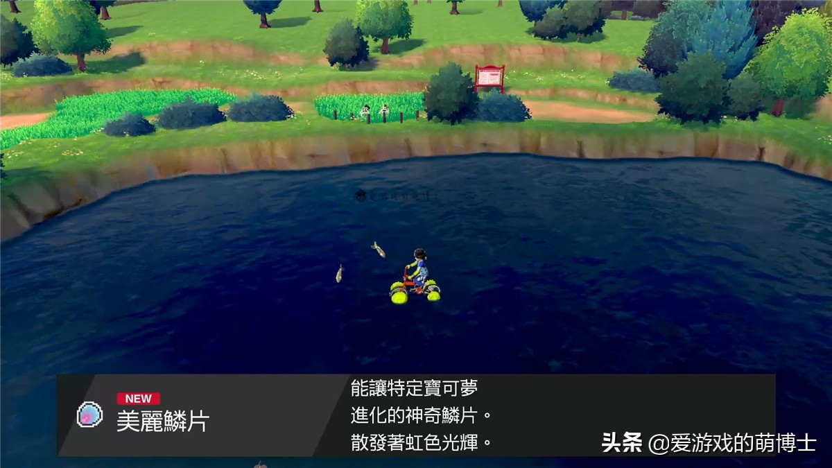 《宝可梦：剑/盾》漂亮的代表，美纳斯的位置以及捕捉攻略