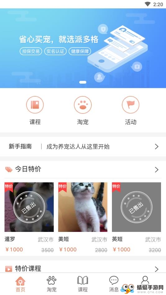 派多格宠物