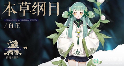 幻书启世录白芷详细介绍