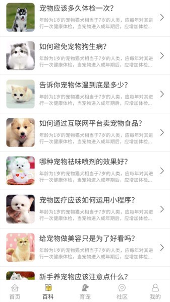 宠物伴你app