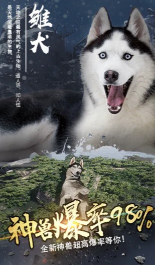 山海飞仙官网正版手游