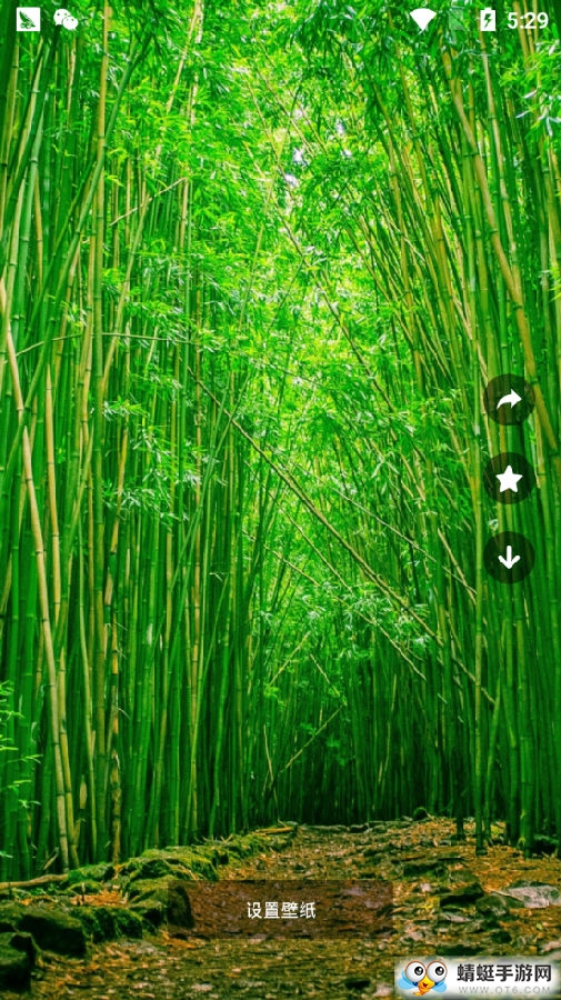 壁纸鹰
