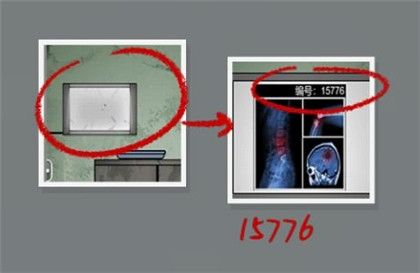161199648560151d450a7f33.54836964.jpeg
