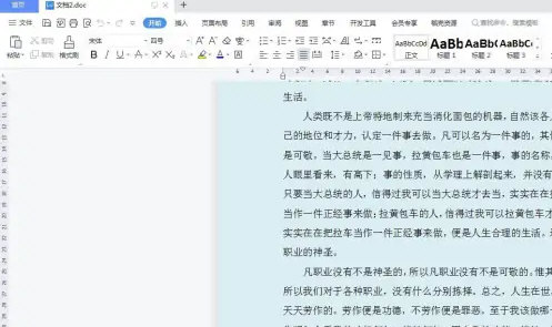 WPS  Office