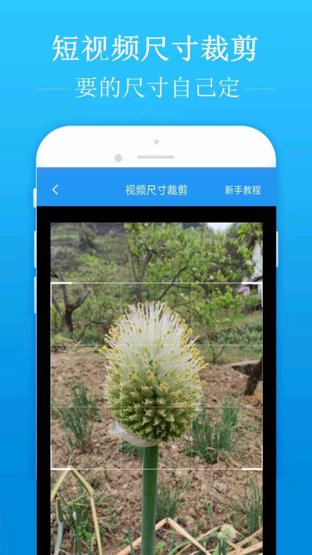 去水印吧最新下载免费版