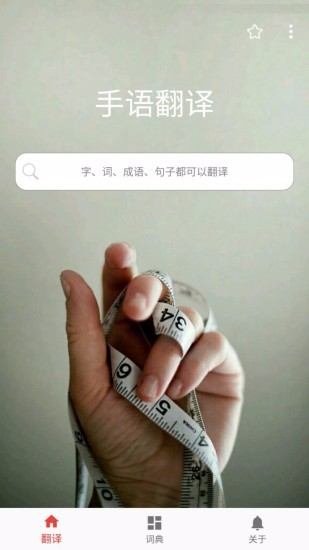 爱手语2024版本下载安装