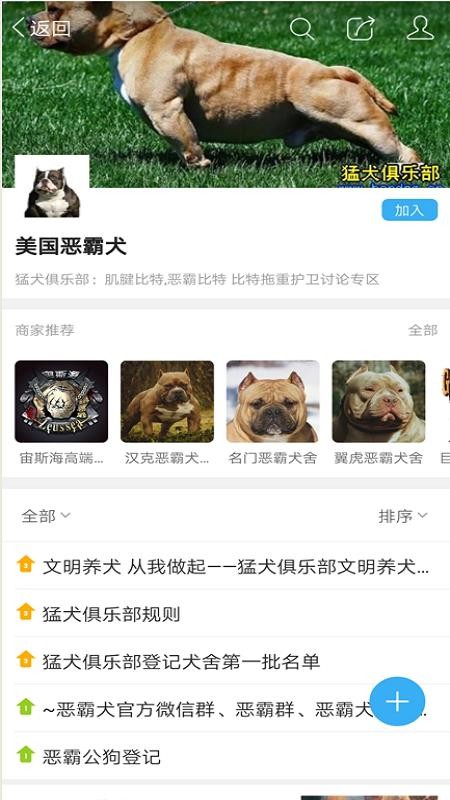 猛犬俱乐部安卓版下载