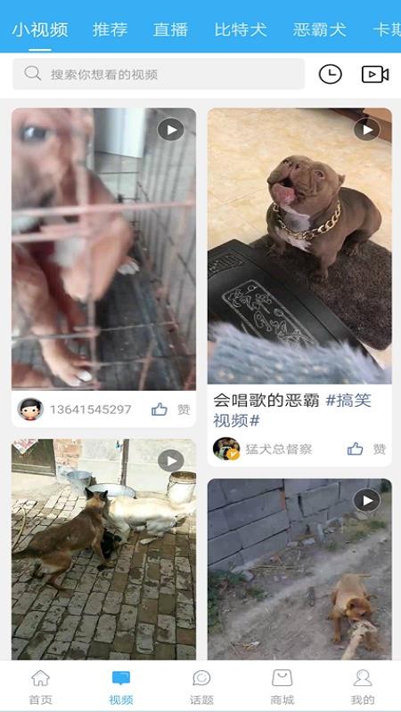 猛犬俱乐部安卓版下载