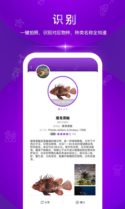 问鱼手机版