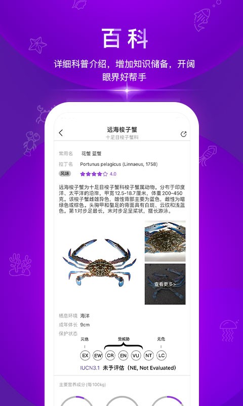 问鱼手机版