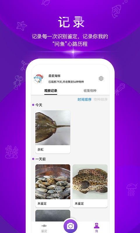 问鱼手机版