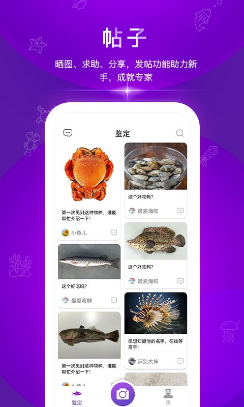 问鱼手机版